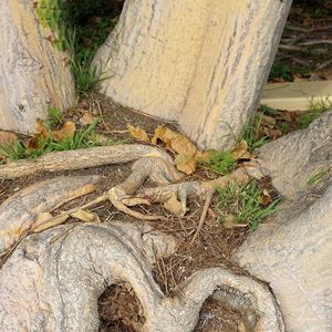 Meet your Posher, Debby